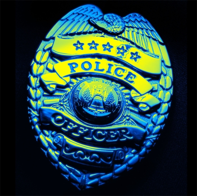E-knjiga Cop R.J. Ellory