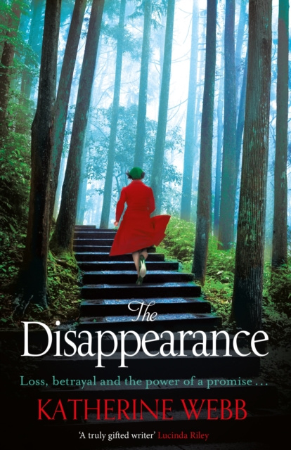 E-knjiga Disappearance Katherine Webb