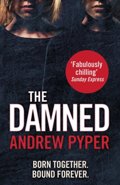 E-book Damned Andrew Pyper