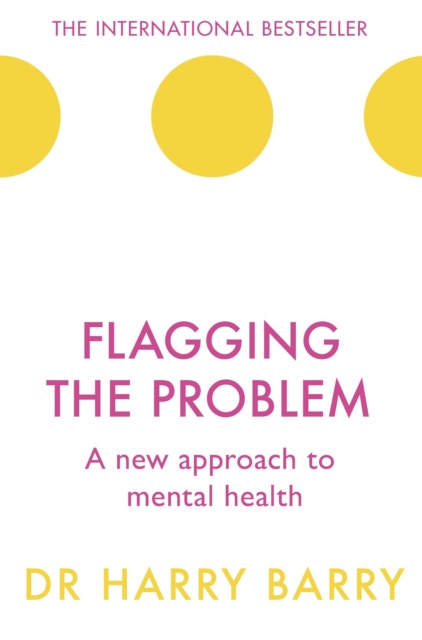 E-knjiga Flagging the Problem Harry Barry