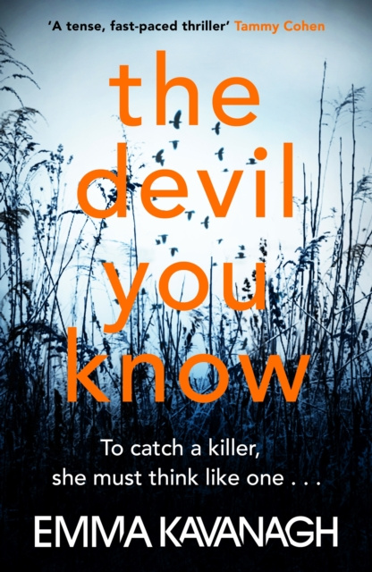 E-book Devil You Know Emma Kavanagh