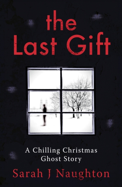 E-knjiga Last Gift Sarah J Naughton