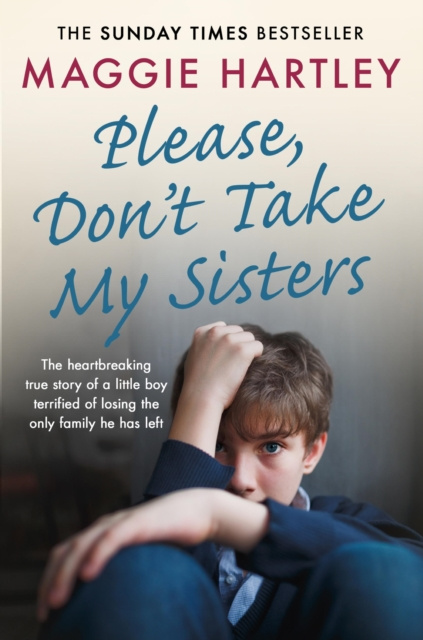 E-kniha Please Don't Take My Sisters Maggie Hartley