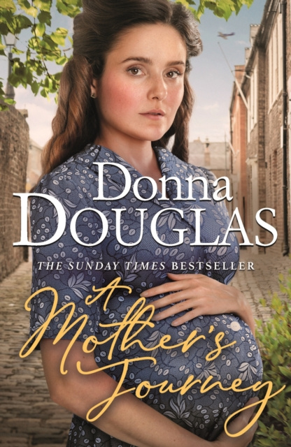 E-kniha Mother's Journey Donna Douglas