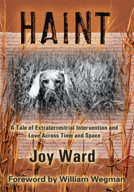 E-kniha Haint Joy Ward