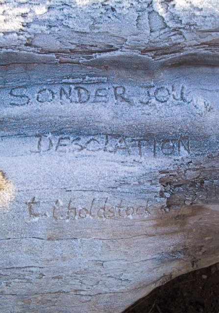 E-Book Sonder Jou/Desolation Holdstock