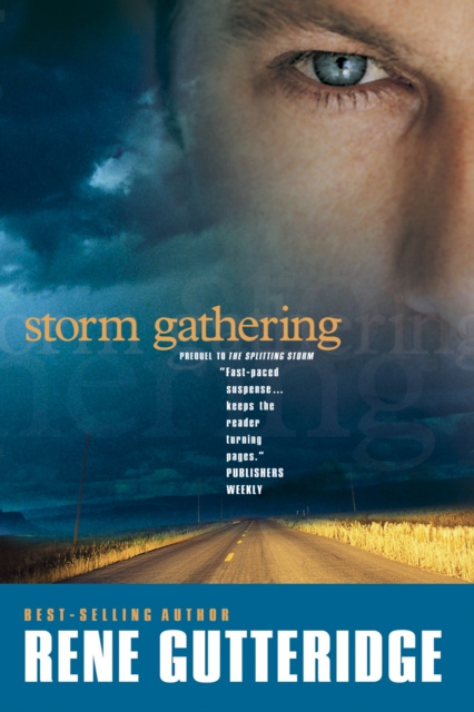 E-book Storm Gathering Rene Gutteridge