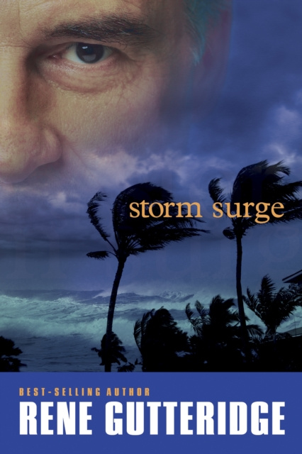 E-knjiga Storm Surge Rene Gutteridge