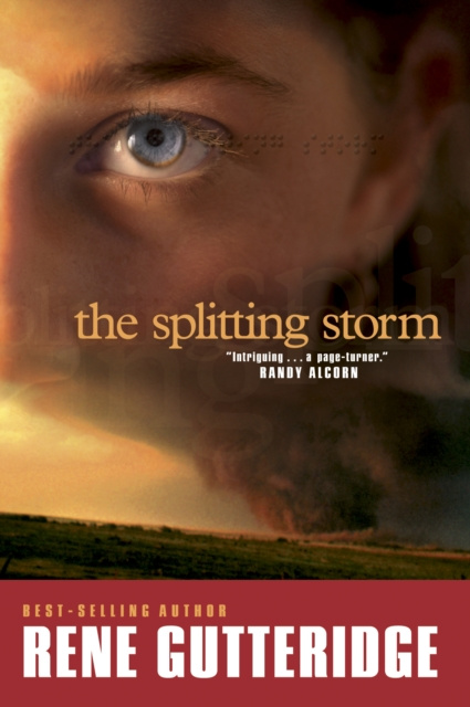E-knjiga Splitting Storm Rene Gutteridge