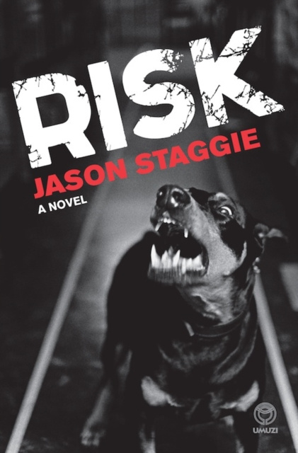 E-knjiga Risk Jason Staggie