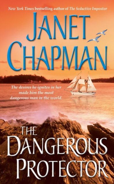 E-book Dangerous Protector Janet Chapman