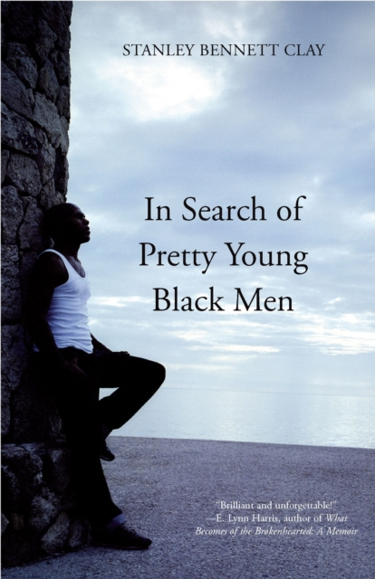 E-Book In Search of Pretty Young Black Men Stanley Bennett Clay