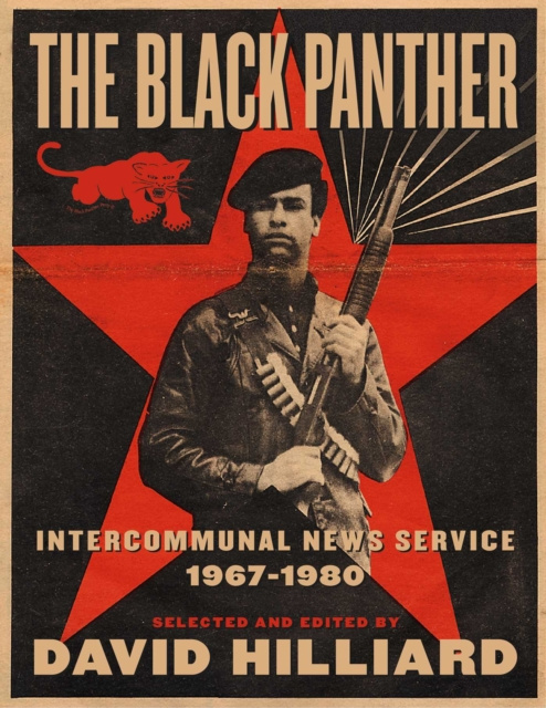E-book Black Panther David Hilliard