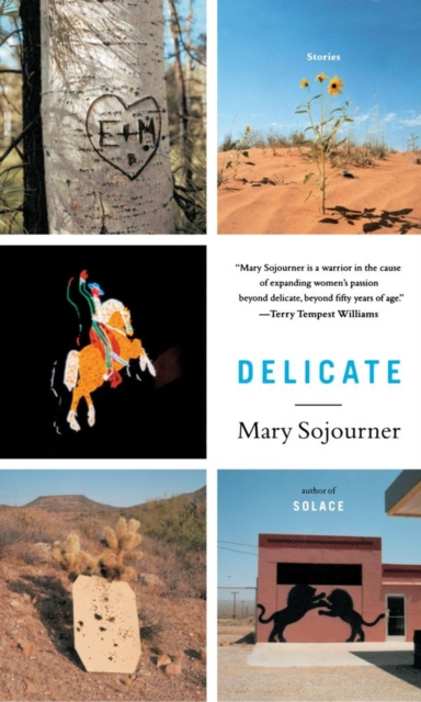 E-knjiga Delicate Mary Sojourner