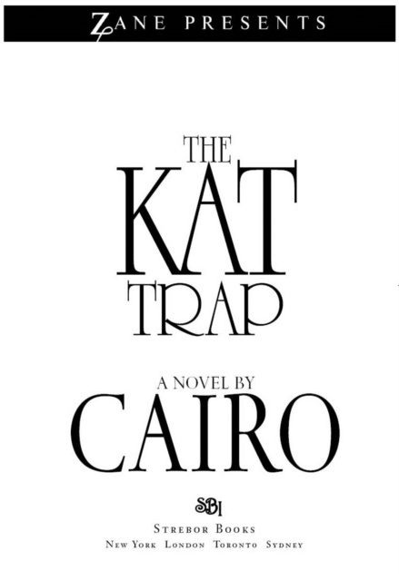 E-book Kat Trap Cairo