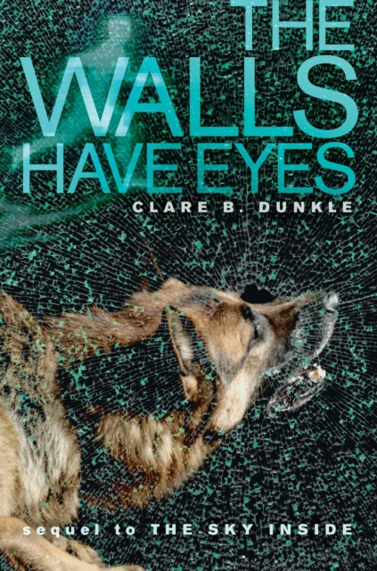 E-book Walls Have Eyes Clare B. Dunkle