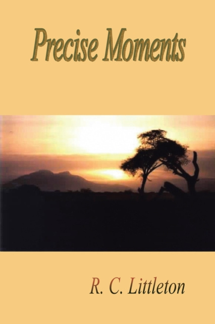 E-book Precise Moments R. C. Littleton