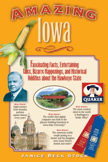 E-knjiga Amazing Iowa Janice Beck Stock
