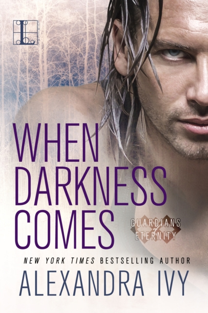 E-knjiga When Darkness Comes Alexandra Ivy