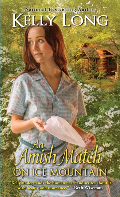 E-kniha Amish Match on Ice Mountain Kelly Long