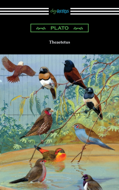 E-knjiga Theaetetus Plato