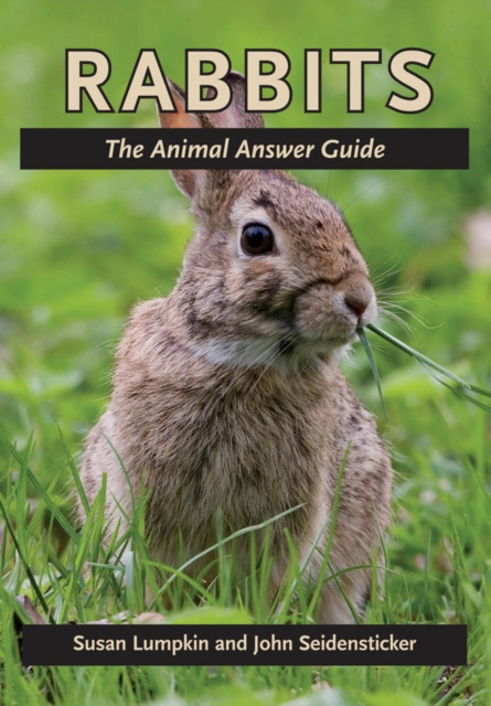 E-book Rabbits Susan Lumpkin