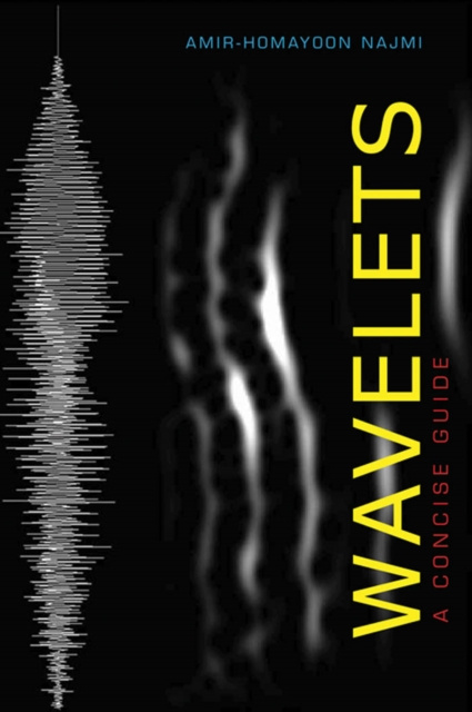 E-knjiga Wavelets Amir-Homayoon Najmi