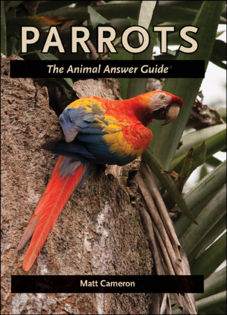 E-book Parrots Matt Cameron