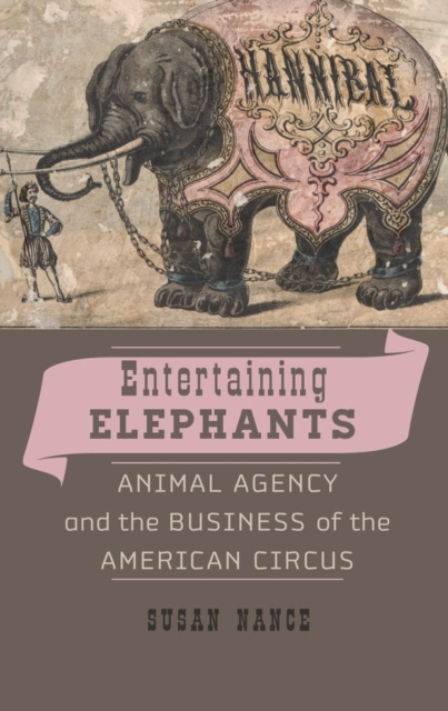 E-book Entertaining Elephants Susan Nance