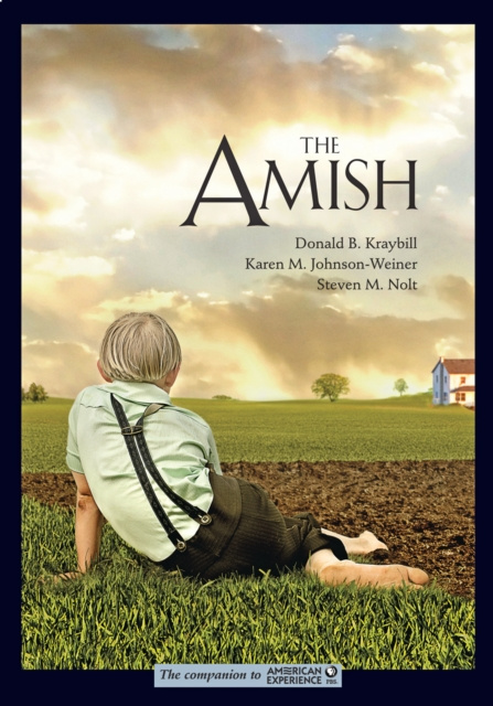 E-book Amish Donald B. Kraybill