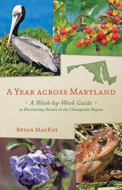 E-Book Year across Maryland Bryan MacKay