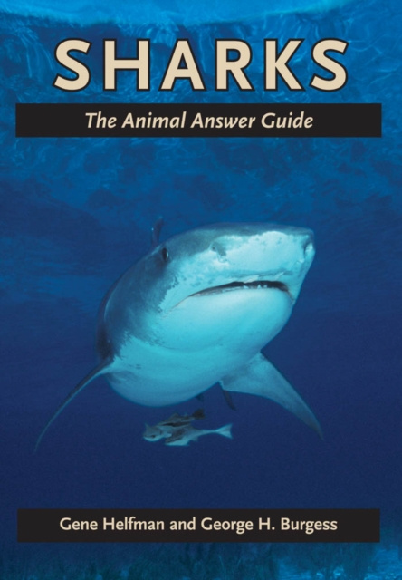 E-book Sharks Gene Helfman