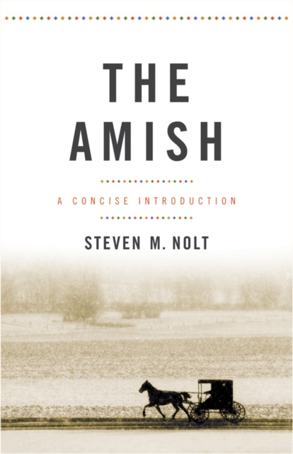 E-book Amish Steven M. Nolt