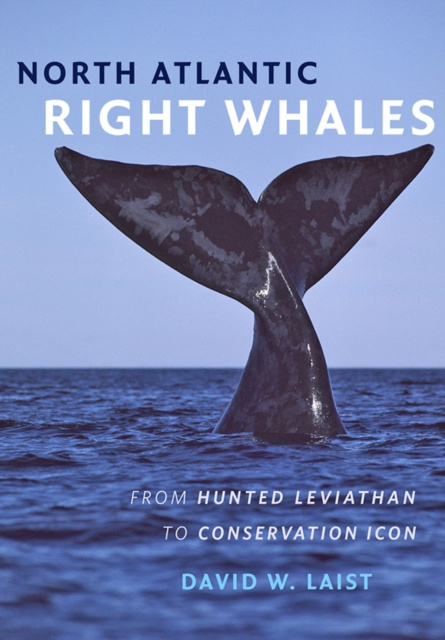 E-book North Atlantic Right Whales David W. Laist