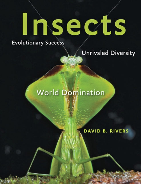 E-book Insects David B. Rivers