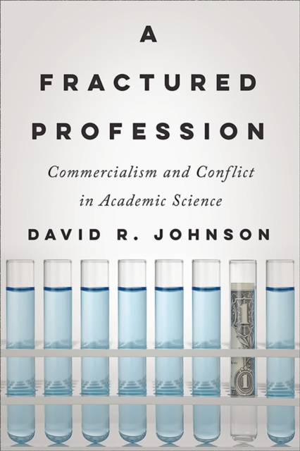 E-book Fractured Profession David R. Johnson