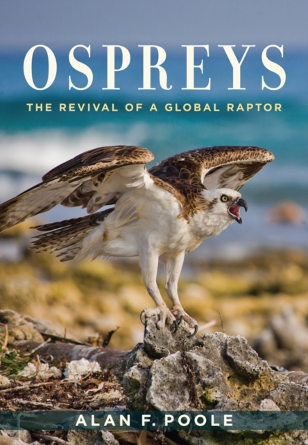 E-knjiga Ospreys Alan F. Poole
