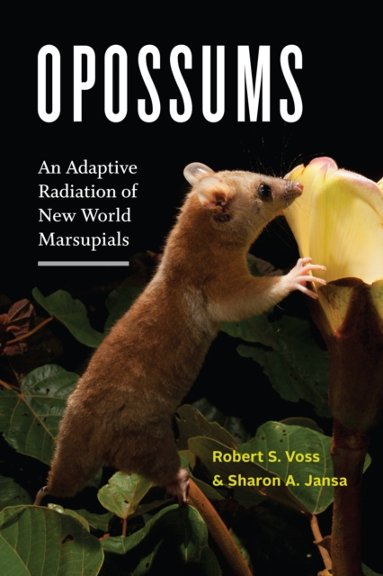 E-book Opossums Robert S. Voss