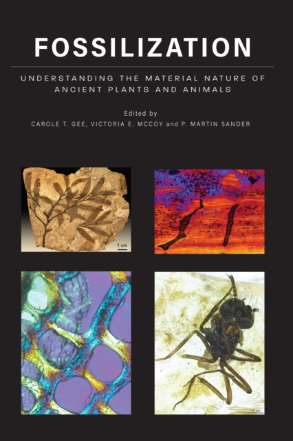 E-könyv Fossilization Carole T. Gee