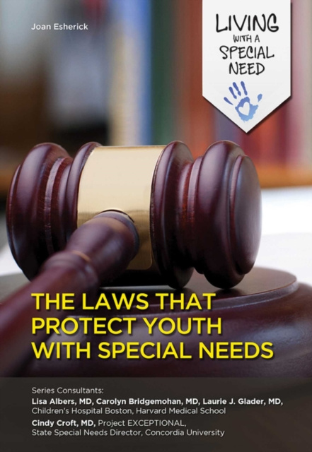 E-kniha Laws That Protect Youth with Special Needs Joan Esherick