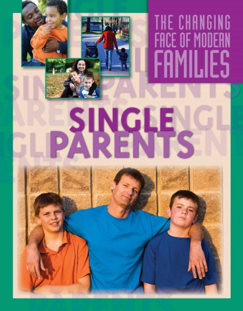 E-book Single Parents Families Rae Simons