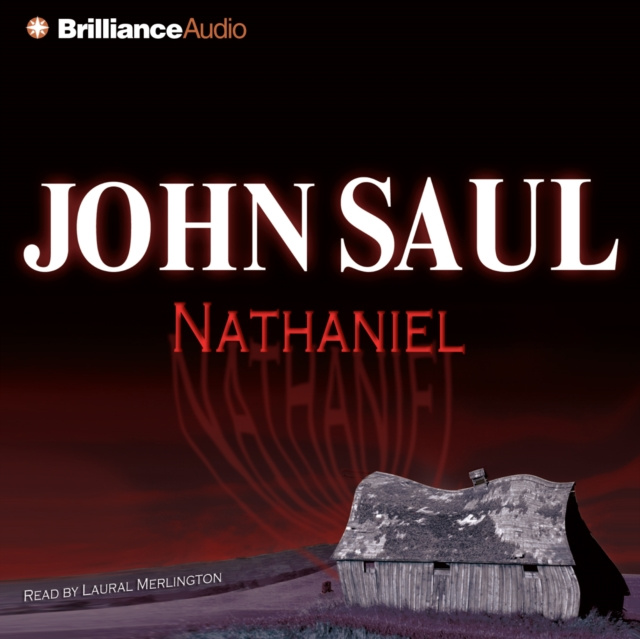 Luisterboek Nathaniel John Saul