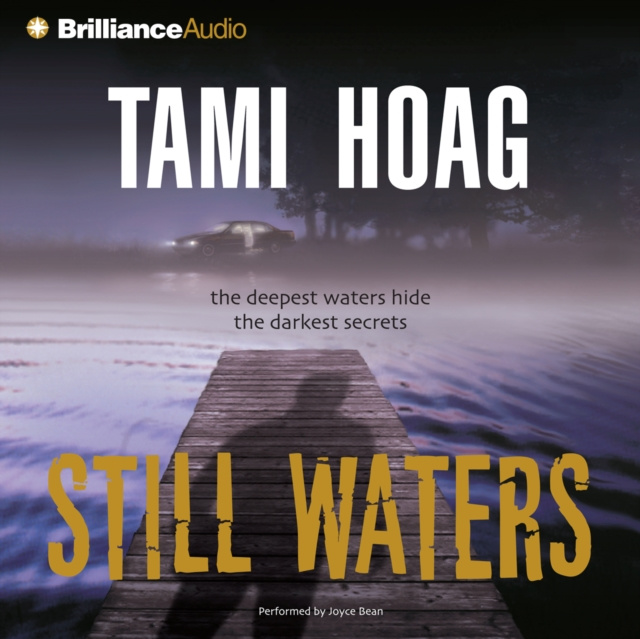 Audiobook Still Waters Tami Hoag