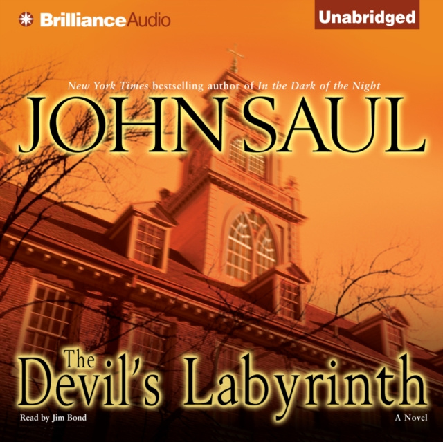 Audiobook Devil's Labyrinth John Saul