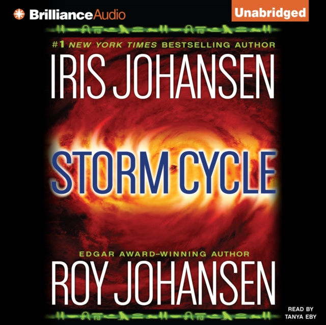 Audiobook Storm Cycle Iris Johansen