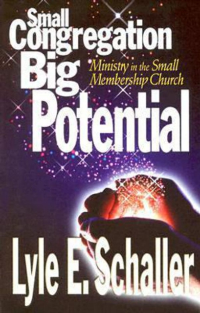 E-knjiga Small Congregation, Big Potential Lyle E Schaller
