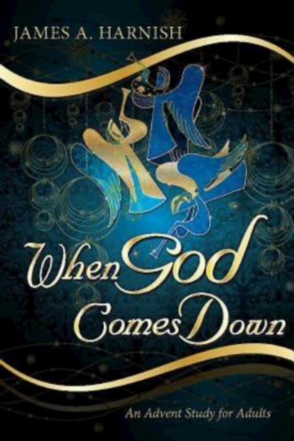E-knjiga When God Comes Down Rev. Dr. James A. Harnish
