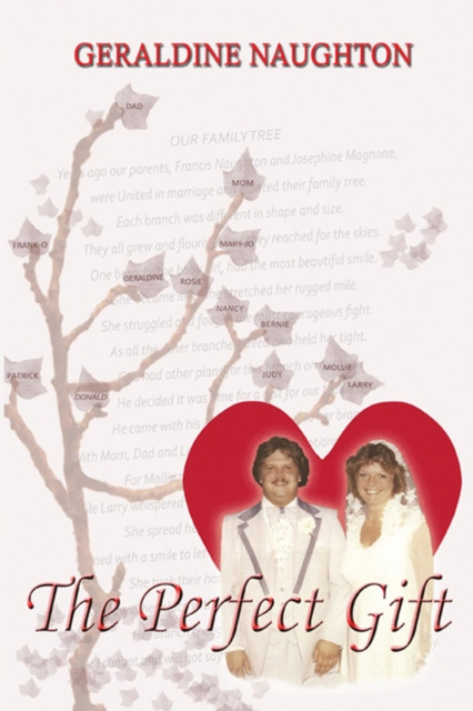 E-book Perfect Gift Geraldine Naughton