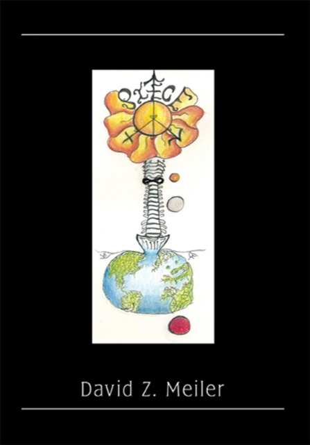 E-knjiga Piece David Z. Meiler