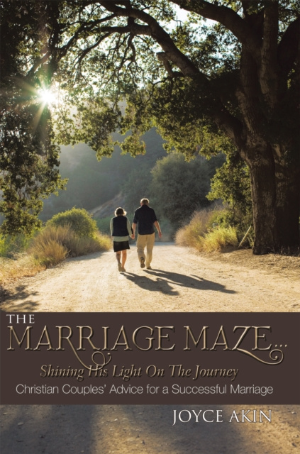E-Book Marriage Maze... Shining His Light on the Journey Joyce Akin